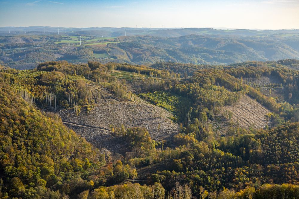 Luftaufnahme Dahl - Herbstluftbild Schäden in einem Waldgebiet in Dahl im Bundesland Nordrhein-Westfalen, Deutschland