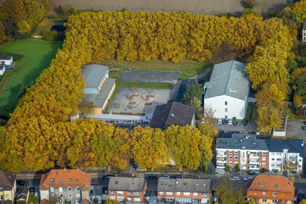 Luftbild Hamm - Herbstluftbild Schulgebäude Martin-Luther-Schule an der Bockelweg in Hamm im Bundesland Nordrhein-Westfalen, Deutschland