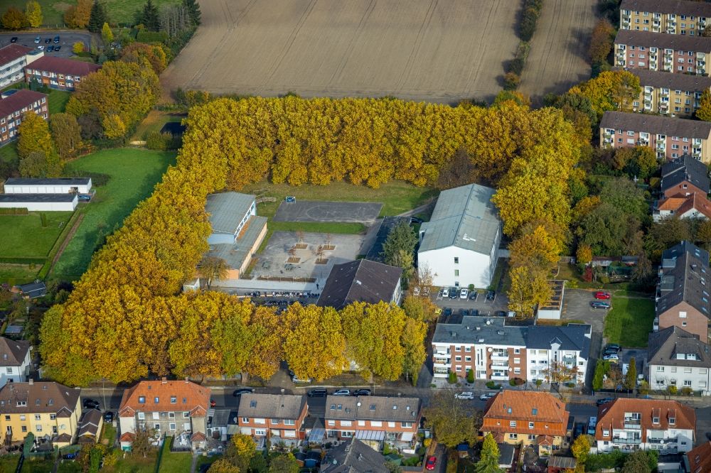 Luftaufnahme Hamm - Herbstluftbild Schulgebäude Martin-Luther-Schule an der Bockelweg in Hamm im Bundesland Nordrhein-Westfalen, Deutschland
