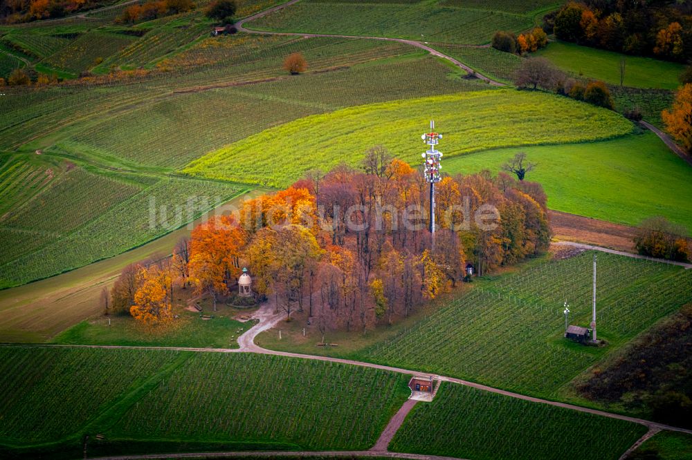 Luftaufnahme Lahr/Schwarzwald - Herbstluftbild Schutterlindenberg Weinberg Gebiet in Lahr/Schwarzwald im Bundesland Baden-Württemberg, Deutschland