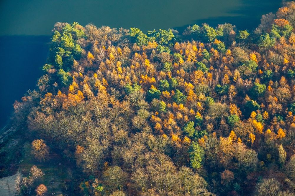 Luftaufnahme Haltern am See - Herbstluftbild See- Insel im Halterner Stausee in Haltern am See im Bundesland Nordrhein-Westfalen, Deutschland