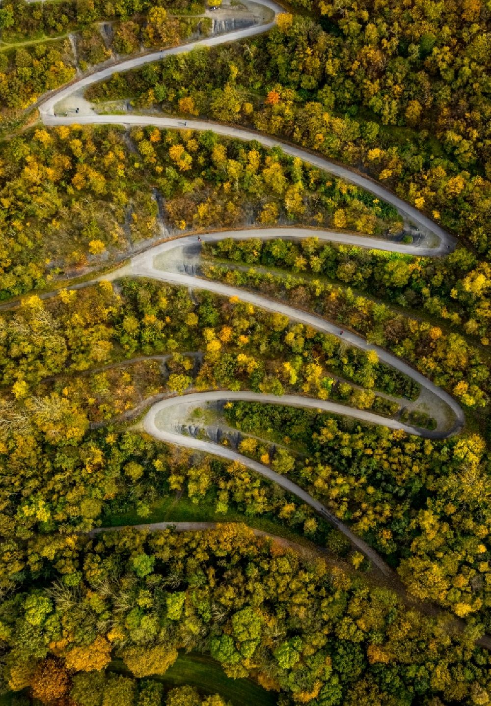 Bottrop von oben - Herbstluftbild Serpentinenförmiger Kurvenverlauf einer Wegführung auf die Halde an der Beckstraße in Bottrop im Bundesland Nordrhein-Westfalen, Deutschland