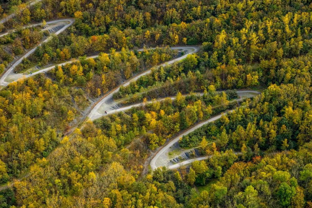 Bottrop aus der Vogelperspektive: Herbstluftbild Serpentinenförmiger Kurvenverlauf einer Wegführung auf die Halde an der Beckstraße in Bottrop im Bundesland Nordrhein-Westfalen, Deutschland