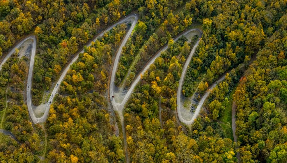 Luftbild Bottrop - Herbstluftbild Serpentinenförmiger Kurvenverlauf einer Wegführung auf die Halde an der Beckstraße in Bottrop im Bundesland Nordrhein-Westfalen, Deutschland