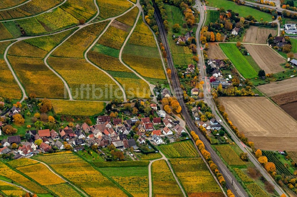Luftaufnahme Ebringen - Herbstluftbild Siedlungsgebiet Leutersberg in Ebringen im Bundesland Baden-Württemberg, Deutschland