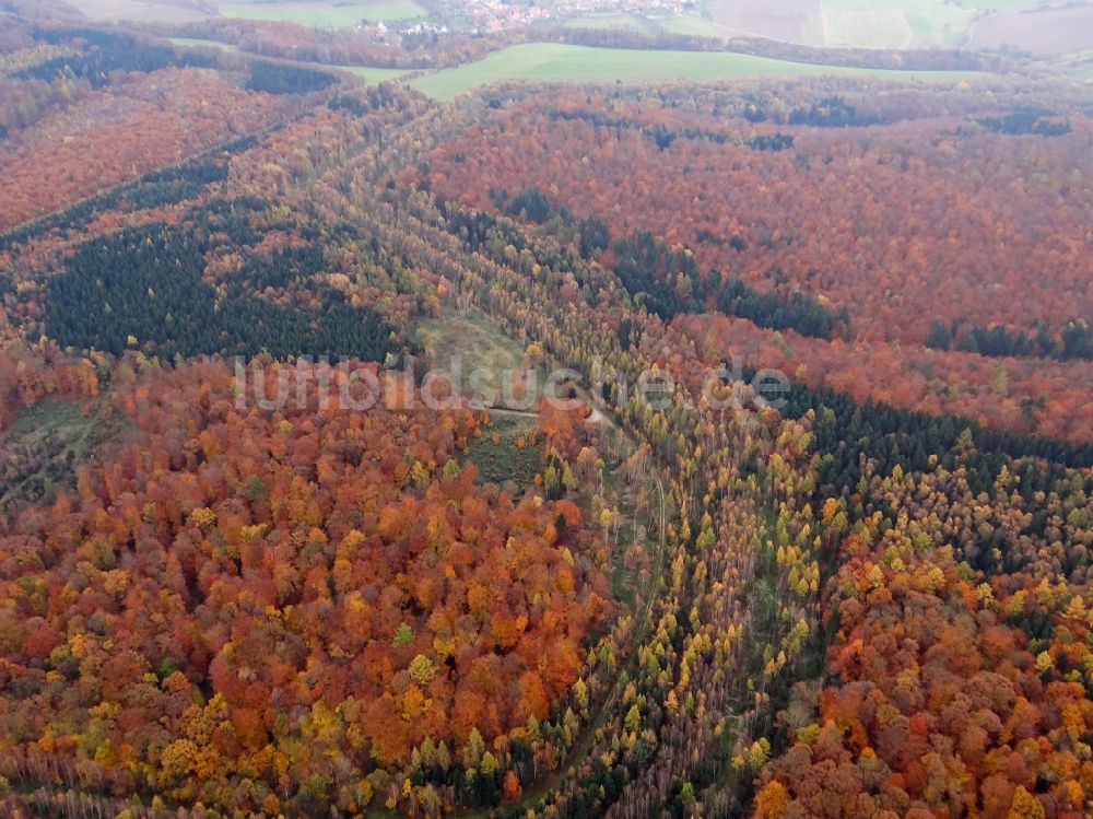 Luftaufnahme Rustenfelde - Herbstluftbild Strecken- Verlauf der ehemaligen innerdeutschen Staatsgrenze in Rustenfelde im Bundesland Thüringen, Deutschland