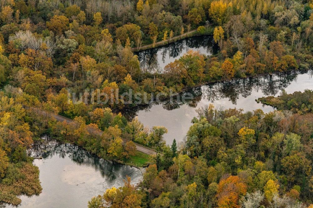 Luftaufnahme Neuried - Herbstluftbild Strukturen einer Auen und- Wiesen- Landschaft am Rhein in Neuried im Bundesland Baden-Württemberg, Deutschland