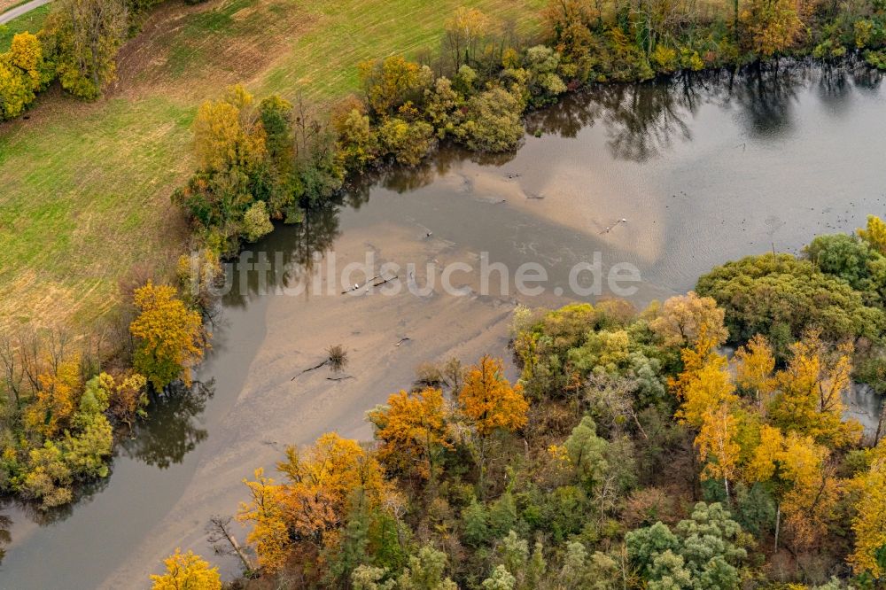 Neuried aus der Vogelperspektive: Herbstluftbild Strukturen einer Auen und- Wiesen- Landschaft am Rhein in Neuried im Bundesland Baden-Württemberg, Deutschland
