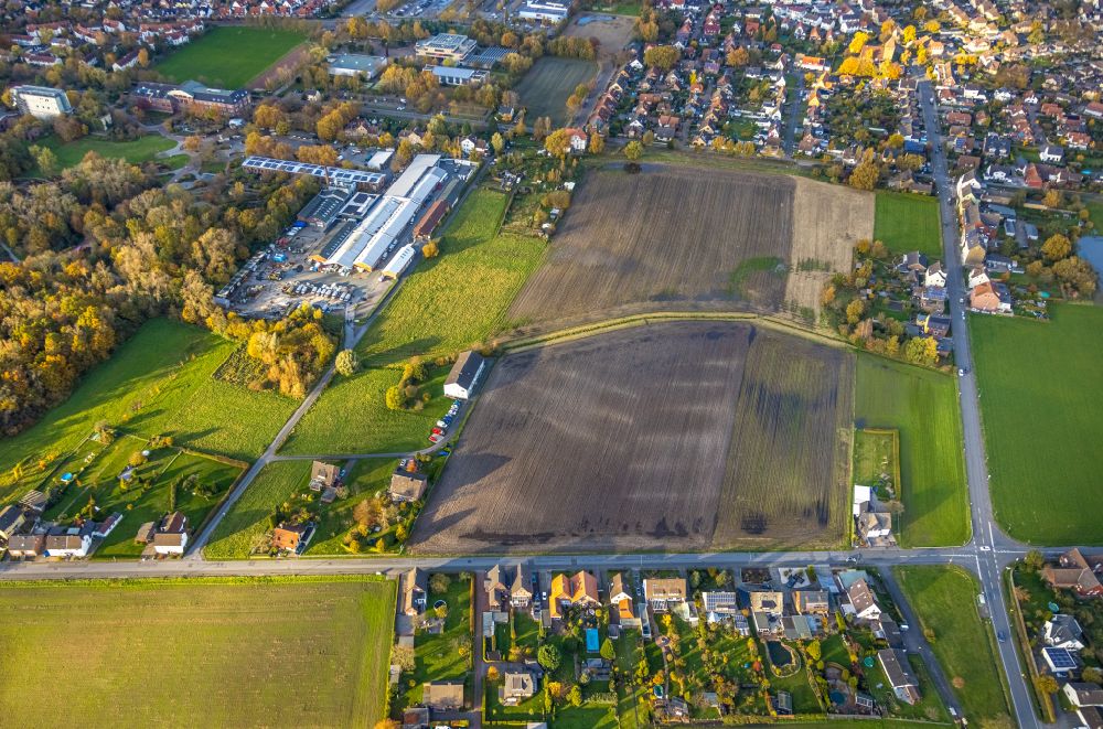 Hamm von oben - Herbstluftbild Strukturen auf landwirtschaftlichen Feldern im Ortsteil Norddinker in Hamm im Bundesland Nordrhein-Westfalen, Deutschland
