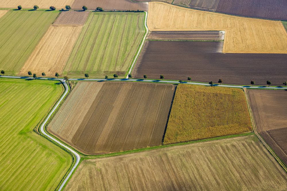 Luftbild Wickede (Ruhr) - Herbstluftbild Strukturen auf landwirtschaftlichen Feldern in Wickede (Ruhr) im Bundesland Nordrhein-Westfalen, Deutschland