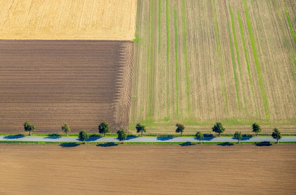 Luftaufnahme Wickede (Ruhr) - Herbstluftbild Strukturen auf landwirtschaftlichen Feldern in Wickede (Ruhr) im Bundesland Nordrhein-Westfalen, Deutschland
