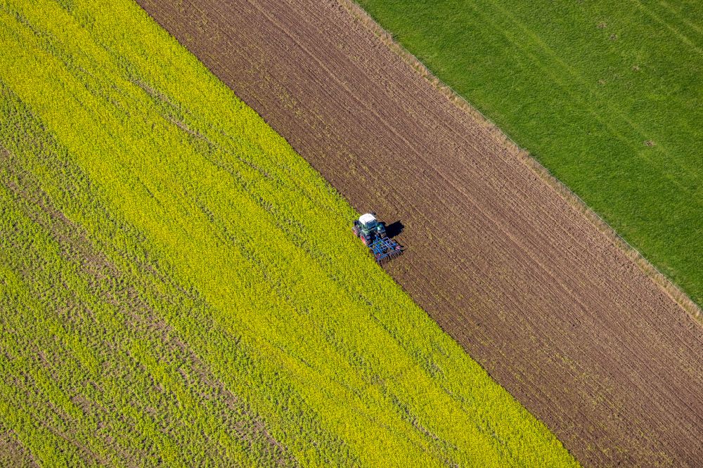 Obringhausen von oben - Herbstluftbild Transportfahrzeuge auf landwirtschaftlichen Feldern in Obringhausen im Bundesland Nordrhein-Westfalen, Deutschland