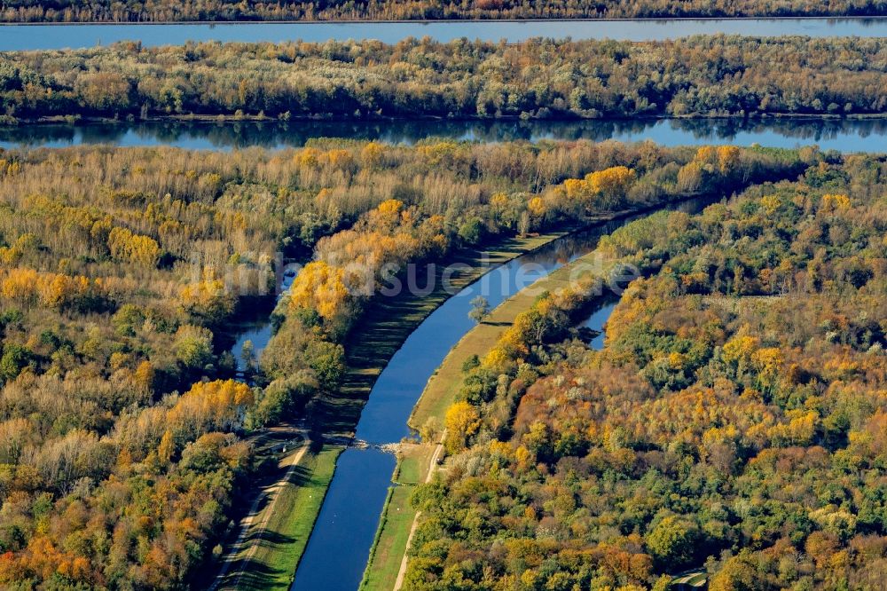 Luftaufnahme Rheinhausen - Herbstluftbild Uferbereiche entlang der Fluß- Mündung des Leopoldskanal zum Rhein in Rheinhausen im Bundesland Baden-Württemberg, Deutschland