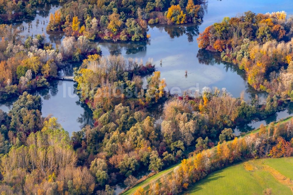 Luftaufnahme Rheinau - Herbstluftbild Uferbereiche am Flußverlauf Taubergießen Herrentopf am Oberrhein in Rheinau im Bundesland Baden-Württemberg, Deutschland
