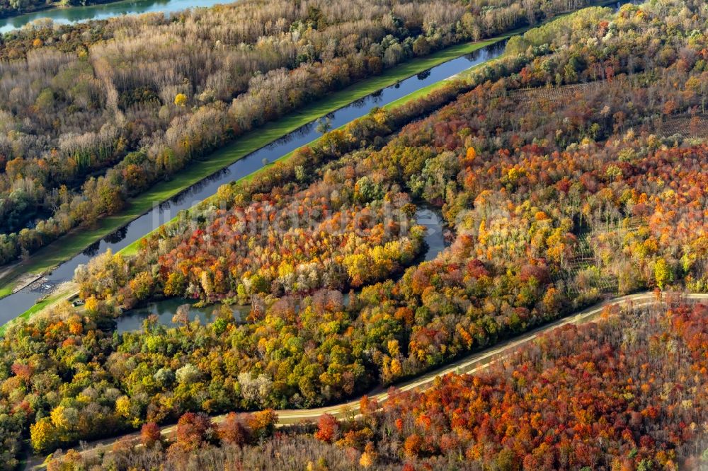 Rheinhausen aus der Vogelperspektive: Herbstluftbild Uferbereiche am Nebenfluss zum Rhein Flußverlauf in Rheinhausen im Bundesland Baden-Württemberg, Deutschland