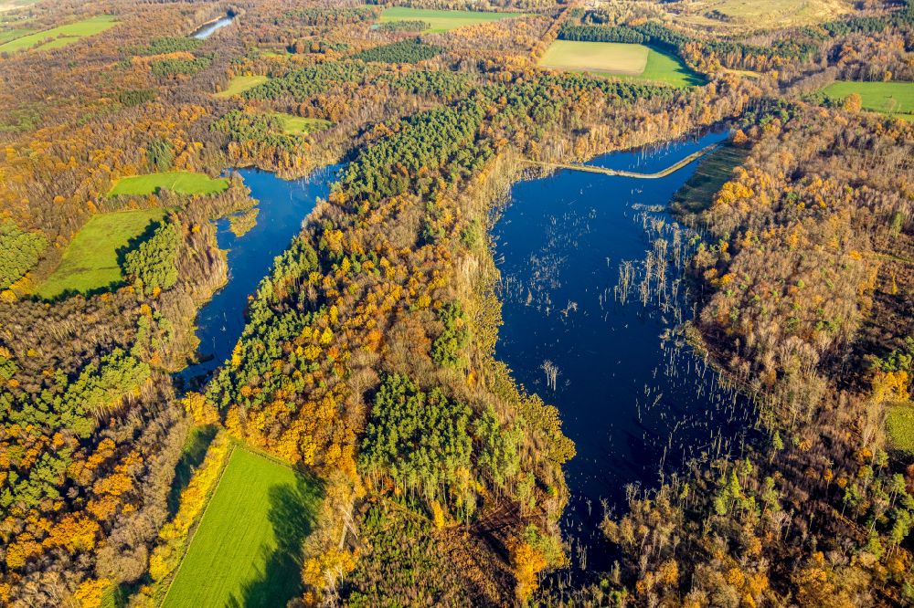 Luftaufnahme Kirchhellen - Herbstluftbild Uferbereiche des Sees Elsbachsee in Kirchhellen im Bundesland Nordrhein-Westfalen, Deutschland