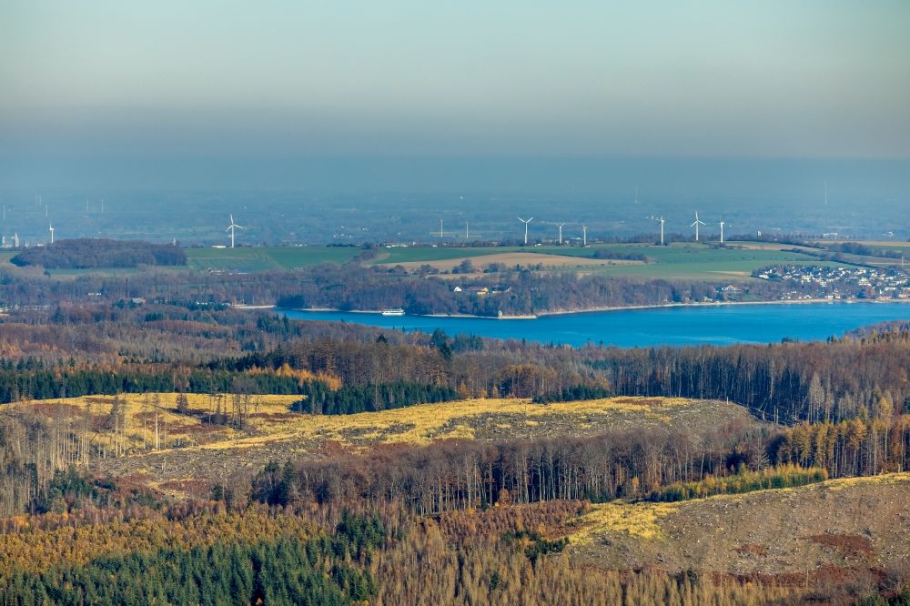 Möhnesee von oben - Herbstluftbild Uferbereiche des Sees Möhnesee mit gerodeteten Waldgebieten in Möhnesee im Bundesland Nordrhein-Westfalen, Deutschland