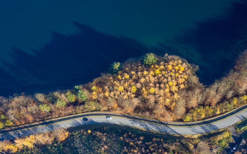 Sundern (Sauerland) aus der Vogelperspektive: Herbstluftbild Uferbereiche des Sees Sorpesee in einem Waldgebiet in Sundern (Sauerland) im Bundesland Nordrhein-Westfalen, Deutschland