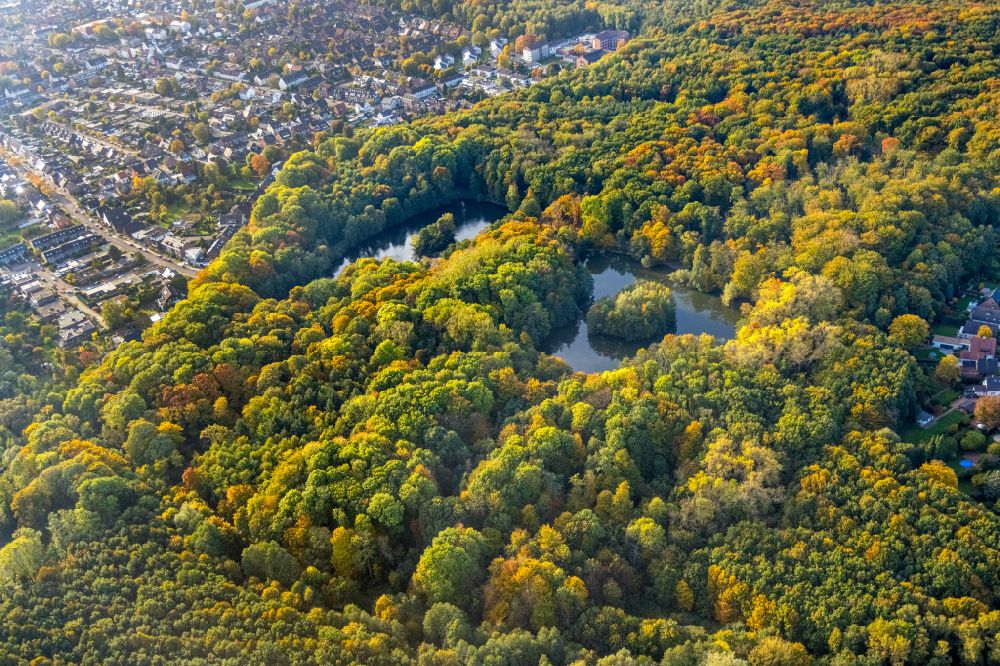 Luftaufnahme Bottrop - Herbstluftbild Uferbereiche des Sees Stadtteich in einem Waldgebiet in Bottrop im Bundesland Nordrhein-Westfalen, Deutschland
