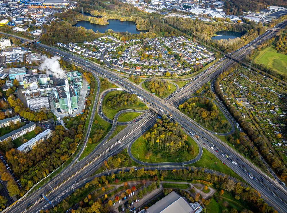 Luftbild Leverkusen - Herbstluftbild Verkehrsführung am Autobahnkreuz der BAB A1 und A3 im Ortsteil Wiesdorf in Leverkusen im Bundesland Nordrhein-Westfalen, Deutschland