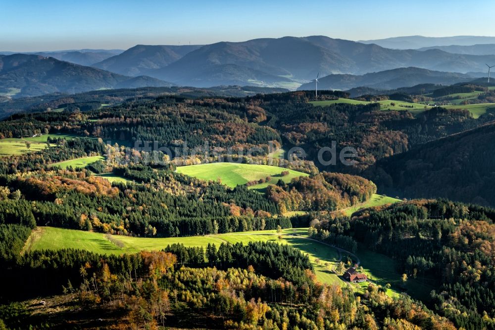 Luftbild Freiamt - Herbstluftbild Wald und Berglandschaft in Freiamt im Bundesland Baden-Württemberg, Deutschland