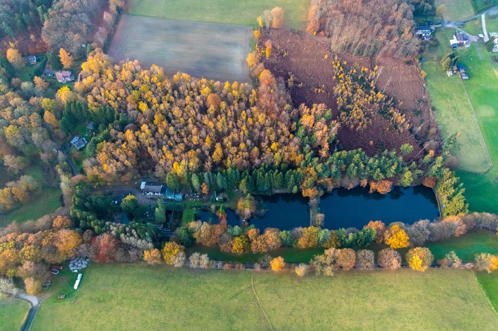Witten von oben - Herbstluftbild Von Wald umgebene Ortsansicht in Witten im Bundesland Nordrhein-Westfalen, Deutschland