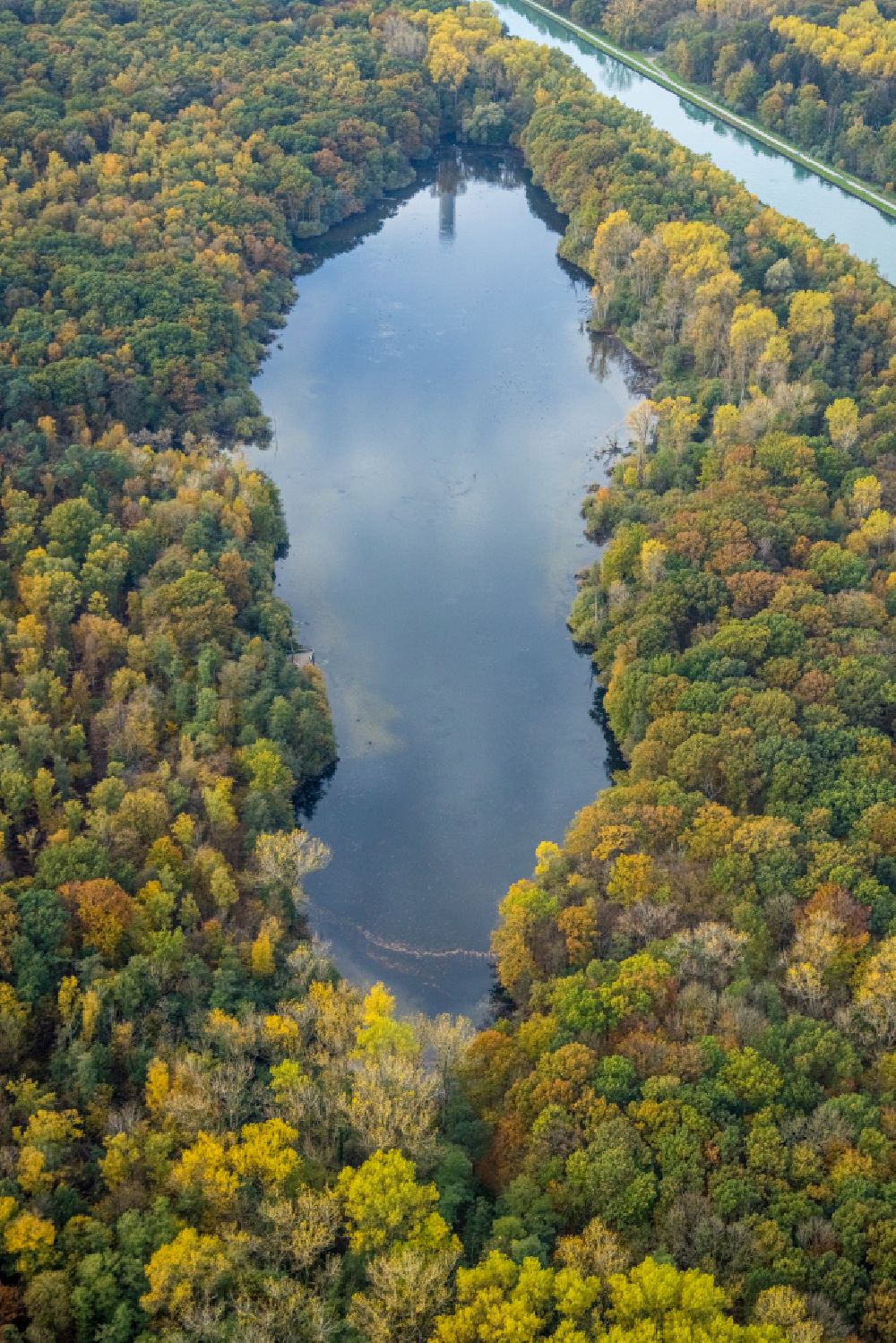 Bergkamen von oben - Herbstluftbild Waldgebiete am Ufer des See Beversee in Bergkamen im Bundesland Nordrhein-Westfalen, Deutschland