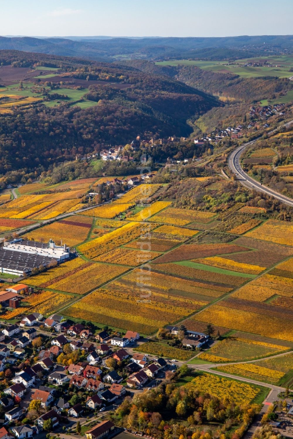 Luftbild Neuleiningen - Herbstluftbild der Weinbaugebiet zwischen Sausenheim und Neuleiningen im Bundesland Rheinland-Pfalz, Deutschland