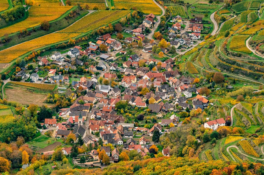 Luftbild Amoltern - Herbstluftbild Weinbergs- Landschaft der Winzer- Gebiete in Amolte im Bundesland Baden-Württemberg, Deutschland