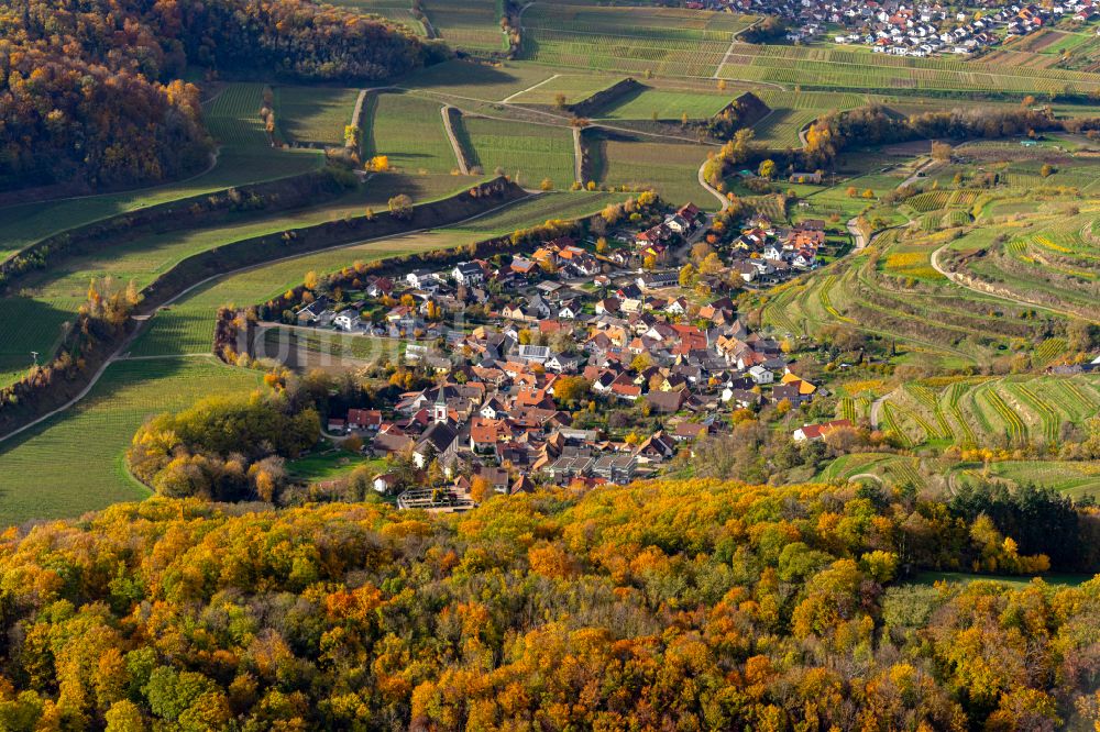 Luftbild Amoltern - Herbstluftbild Weinbergs- Landschaft der Winzer- Gebiete in Amolte im Bundesland Baden-Württemberg, Deutschland