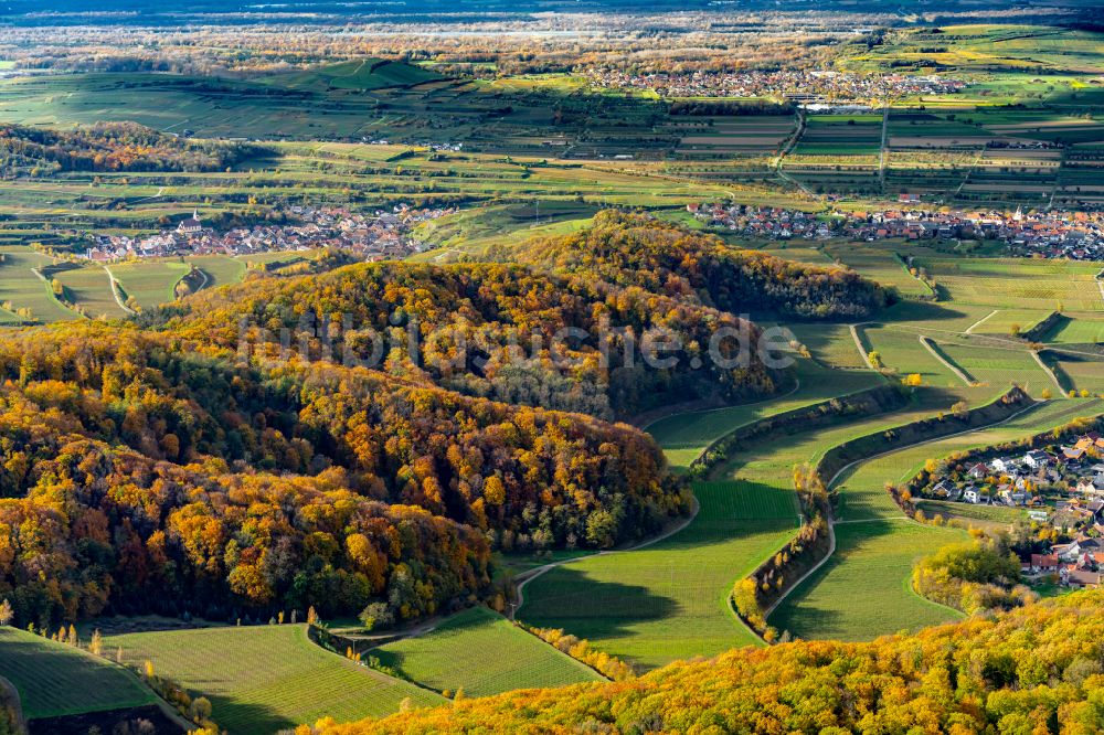 Luftaufnahme Amoltern - Herbstluftbild Weinbergs- Landschaft der Winzer- Gebiete in Amoltern im Bundesland Baden-Württemberg
