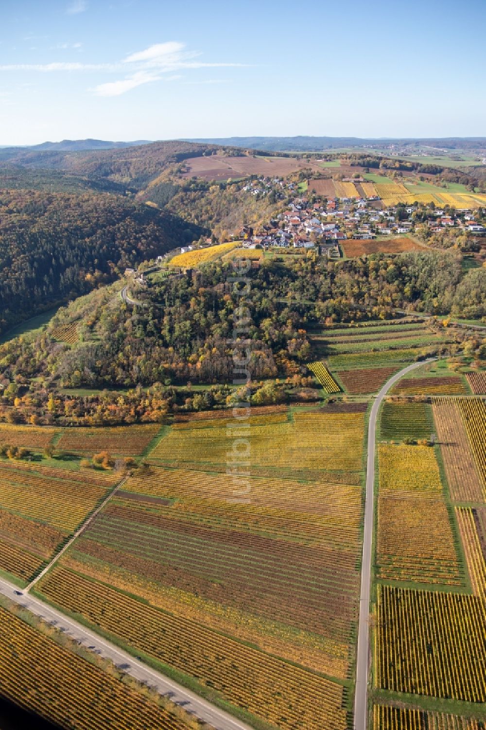 Battenberg (Pfalz) aus der Vogelperspektive: Herbstluftbild Weinbergs- Landschaft der Winzer- Gebiete in Battenberg (Pfalz) im Bundesland Rheinland-Pfalz, Deutschland