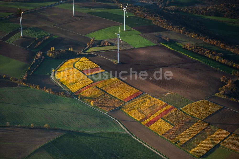 Luftaufnahme Buchbrunn - Herbstluftbild Weinbergs- Landschaft der Winzer- Gebiete in Buchbrunn im Bundesland Bayern, Deutschland