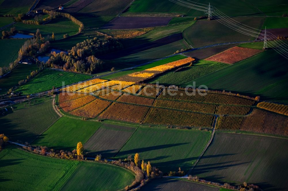 Luftaufnahme Castell - Herbstluftbild Weinbergs- Landschaft der Winzer- Gebiete in Castell im Bundesland Bayern, Deutschland