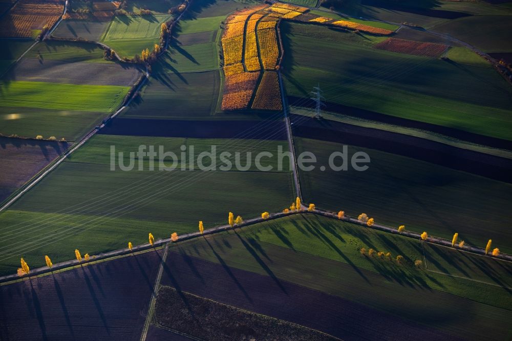 Luftaufnahme Castell - Herbstluftbild Weinbergs- Landschaft der Winzer- Gebiete in Castell im Bundesland Bayern, Deutschland