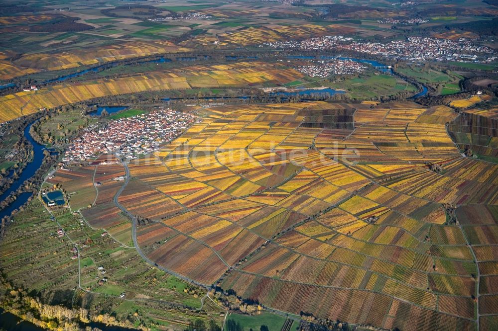 Luftaufnahme Dettelbach - Herbstluftbild Weinbergs- Landschaft der Winzer- Gebiete in Dettelbach im Bundesland Bayern, Deutschland