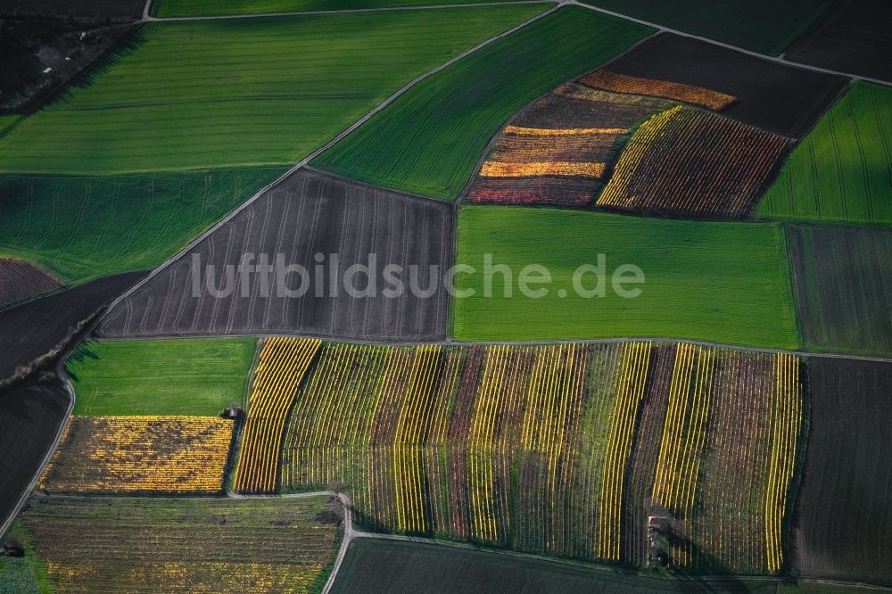 Luftbild Dingolshausen - Herbstluftbild Weinbergs- Landschaft der Winzer- Gebiete in Dingolshausen im Bundesland Bayern, Deutschland