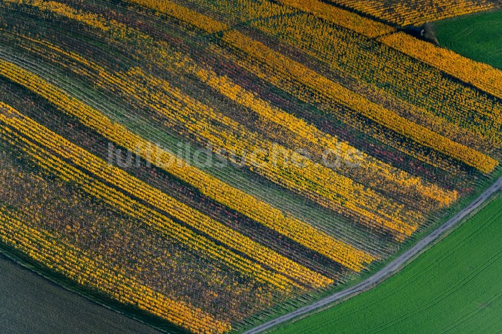 Luftaufnahme Dingolshausen - Herbstluftbild Weinbergs- Landschaft der Winzer- Gebiete in Dingolshausen im Bundesland Bayern, Deutschland