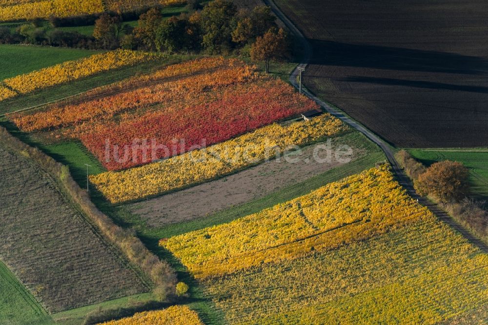 Luftaufnahme Donnersdorf - Herbstluftbild Weinbergs- Landschaft der Winzer- Gebiete in Donnersdorf im Bundesland Bayern, Deutschland