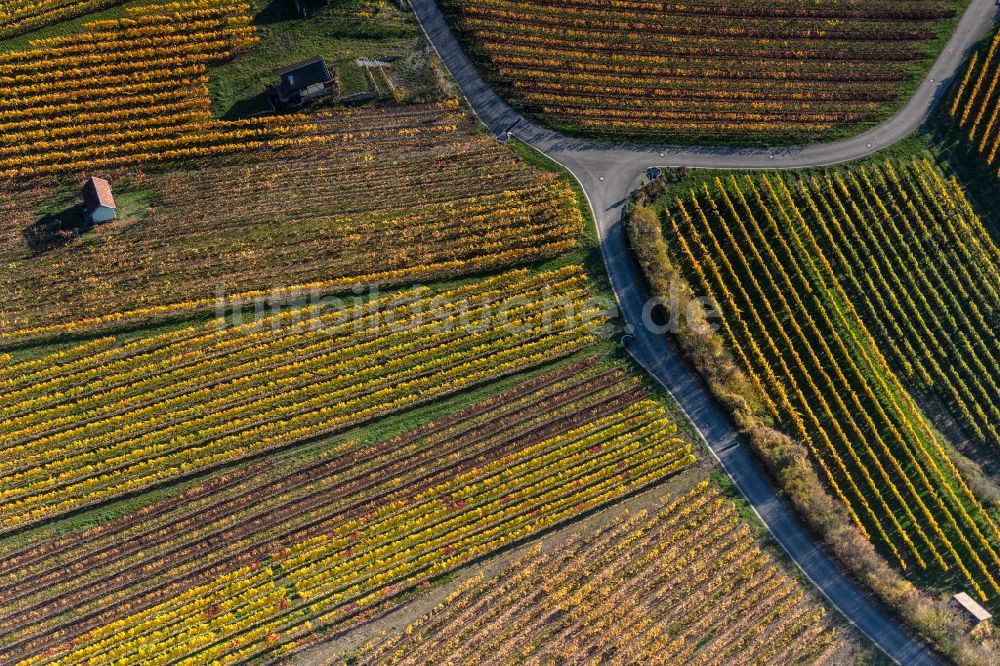 Luftbild Donnersdorf - Herbstluftbild Weinbergs- Landschaft der Winzer- Gebiete in Donnersdorf im Bundesland Bayern, Deutschland