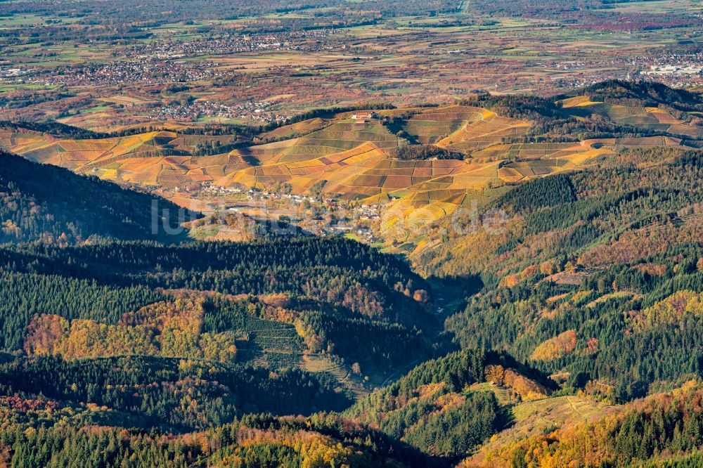 Luftbild Durbach - Herbstluftbild Weinbergs- Landschaft der Winzer- Gebiete in Durbach im Bundesland Baden-Württemberg, Deutschland