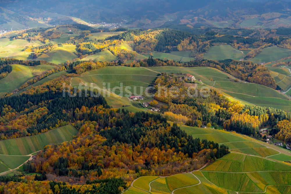 Luftbild Durbach - Herbstluftbild Weinbergs- Landschaft der Winzer- Gebiete in Durbach im Bundesland Baden-Württemberg, Deutschland