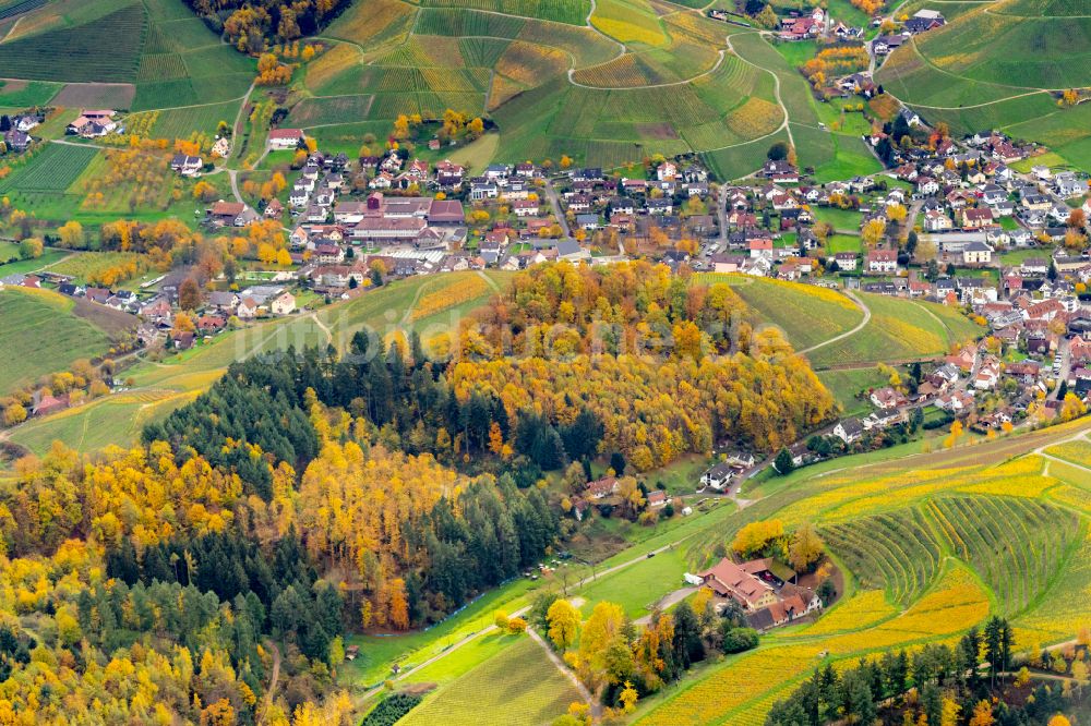 Durbach aus der Vogelperspektive: Herbstluftbild Weinbergs- Landschaft der Winzer- Gebiete in Durbach im Bundesland Baden-Württemberg, Deutschland