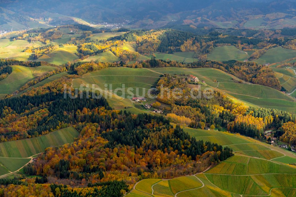 Luftaufnahme Durbach - Herbstluftbild Weinbergs- Landschaft der Winzer- Gebiete in Durbach im Bundesland Baden-Württemberg, Deutschland