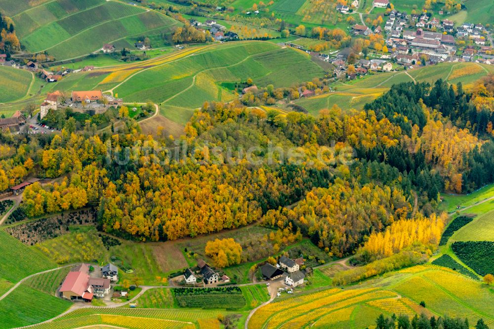 Durbach von oben - Herbstluftbild Weinbergs- Landschaft der Winzer- Gebiete in Durbach in der Ortenau im Bundesland Baden-Württemberg, Deutschland