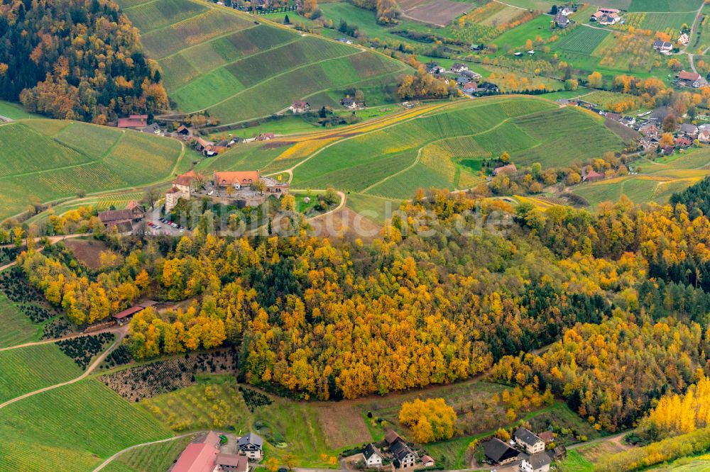 Luftbild Durbach - Herbstluftbild Weinbergs- Landschaft der Winzer- Gebiete in Durbach in der Ortenau im Bundesland Baden-Württemberg, Deutschland