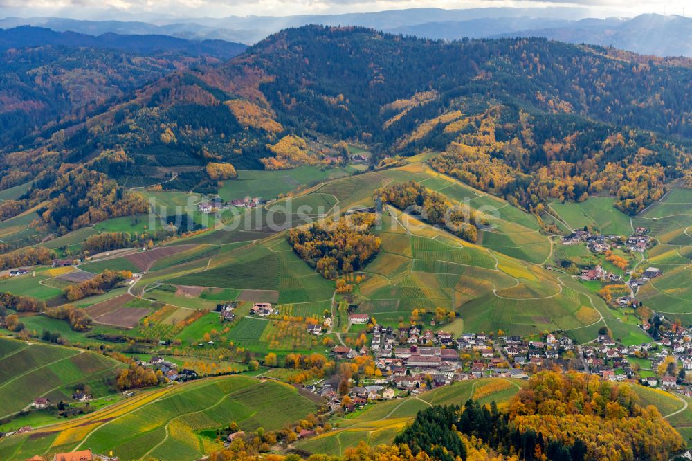 Luftaufnahme Durbach - Herbstluftbild Weinbergs- Landschaft der Winzer- Gebiete in Durbach in der Ortenau im Bundesland Baden-Württemberg, Deutschland