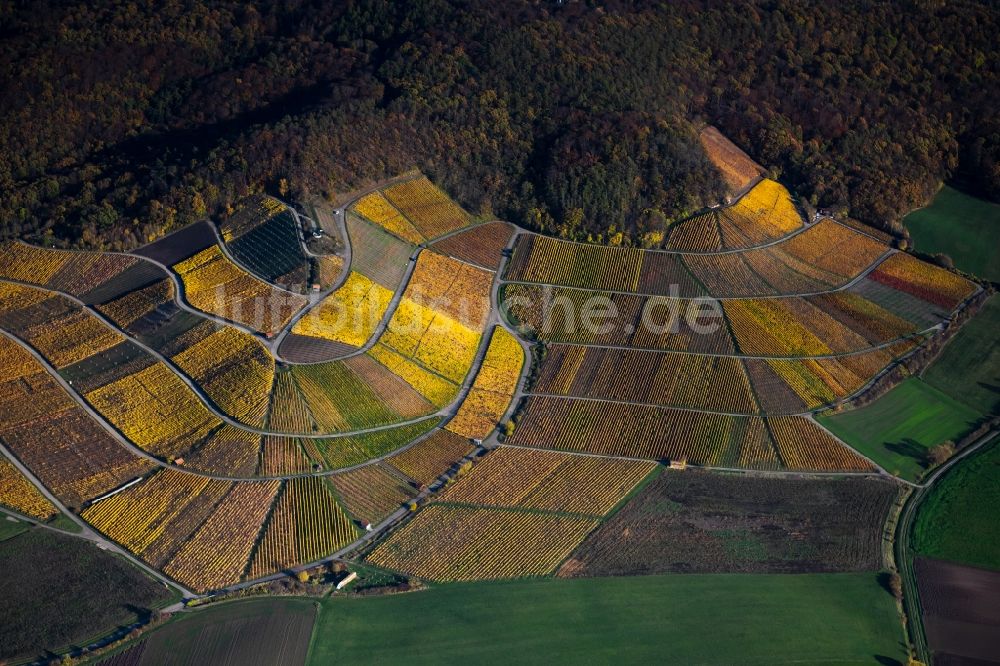 Greuth von oben - Herbstluftbild Weinbergs- Landschaft der Winzer- Gebiete in Greuth im Bundesland Bayern, Deutschland