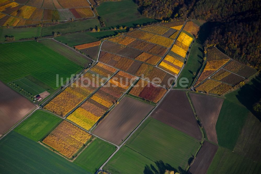 Greuth aus der Vogelperspektive: Herbstluftbild Weinbergs- Landschaft der Winzer- Gebiete in Greuth im Bundesland Bayern, Deutschland