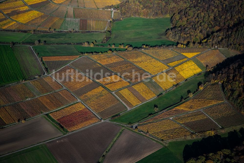 Luftbild Greuth - Herbstluftbild Weinbergs- Landschaft der Winzer- Gebiete in Greuth im Bundesland Bayern, Deutschland
